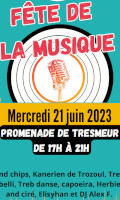 Affiche Trébeurden 2023 détail